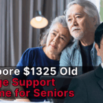 Singapore $1325 Silver Support Scheme for Seniors